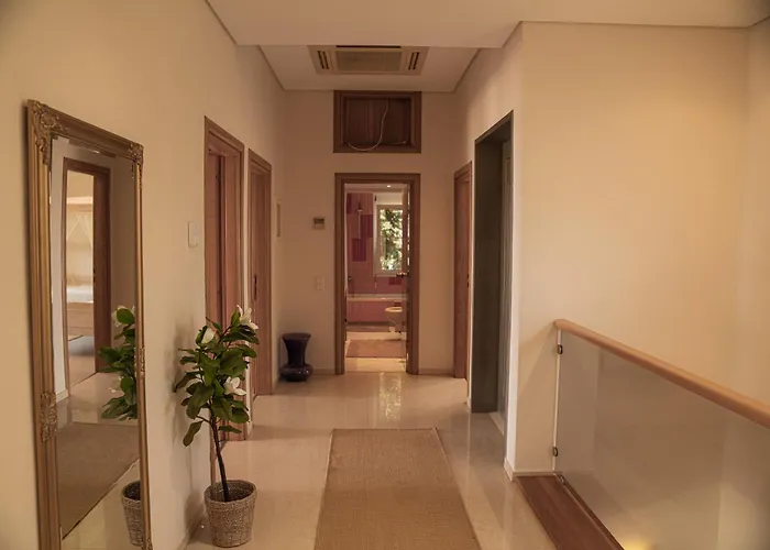Aerides Luxury *