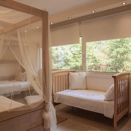 Aerides Luxury * PalaiónTsiflíkion