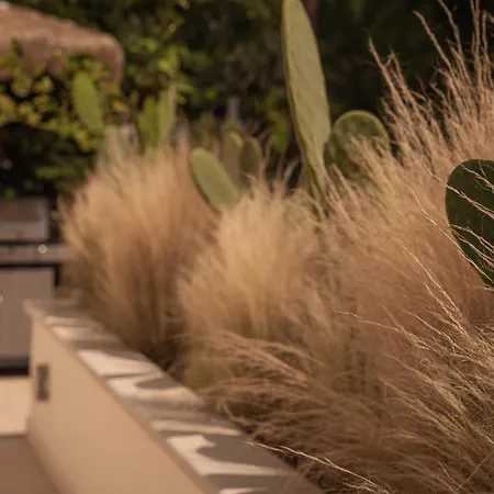 Aerides Luxury Apartament PalaiónTsiflíkion