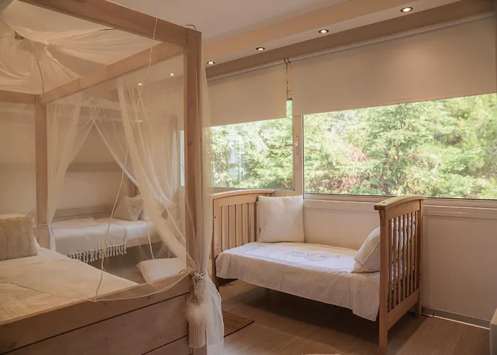Aerides Luxury * PalaiónTsiflíkion